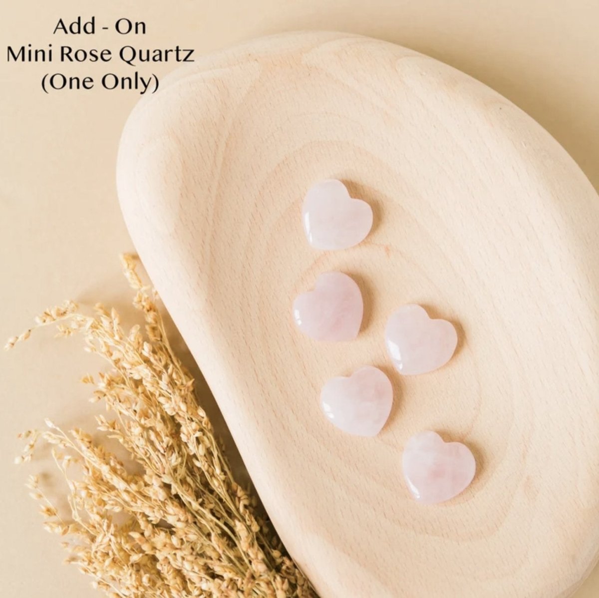 Gift Box Valentines Day Succulent Gift Box