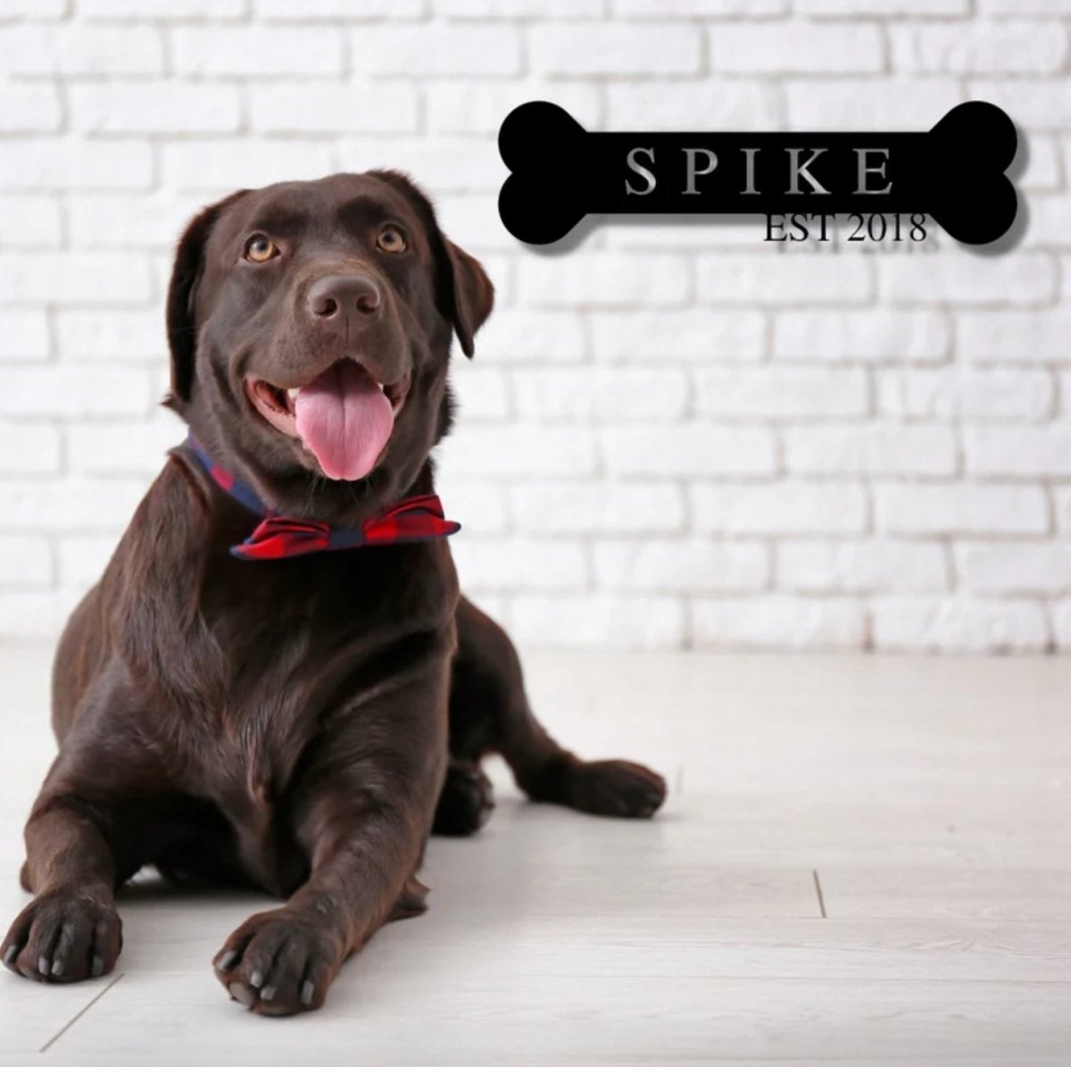 Pub Signs A Woman's Best friend Sign