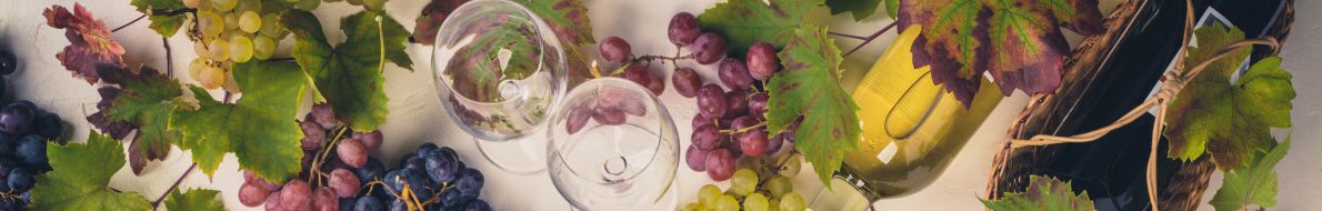 Wine Lover Gifts for Her – Thoughtful & Stylish Ideas for Every Wine Enthusiast