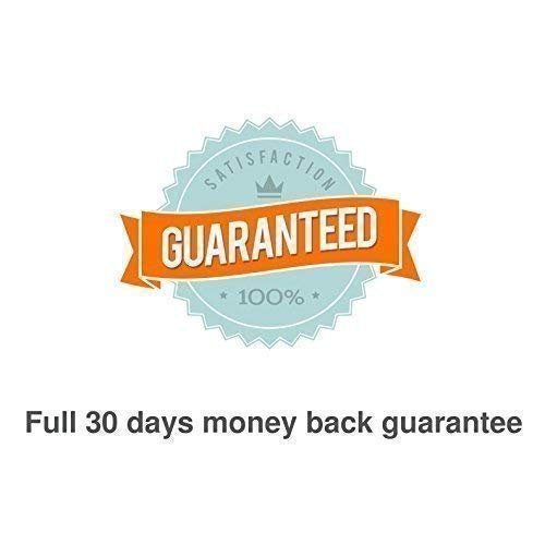 Personalized 24k Gold Honeybee Studs for her, Customized Gifts for Women by Groovy Girl Gifts