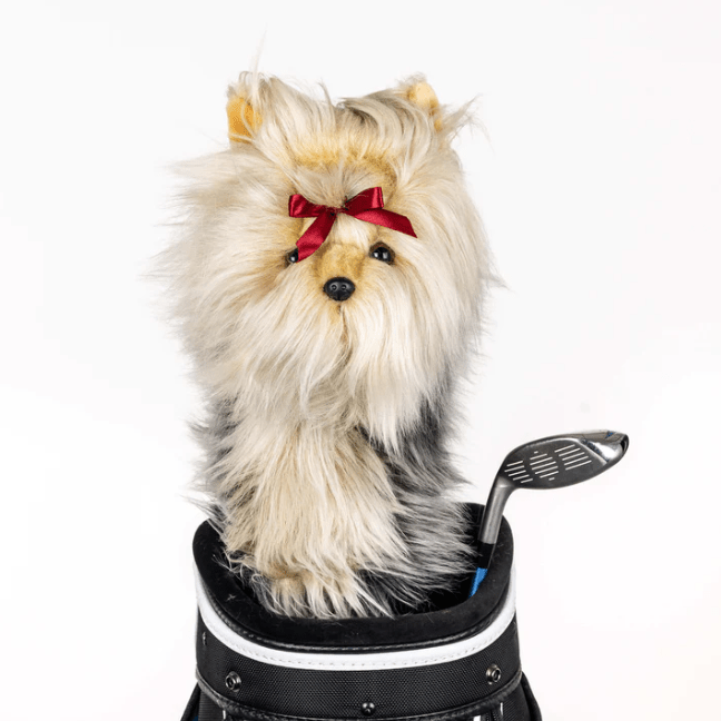 Personalized Dog Golf Headcovers for her, Customized Gifts for Women by Groovy Girl Gifts