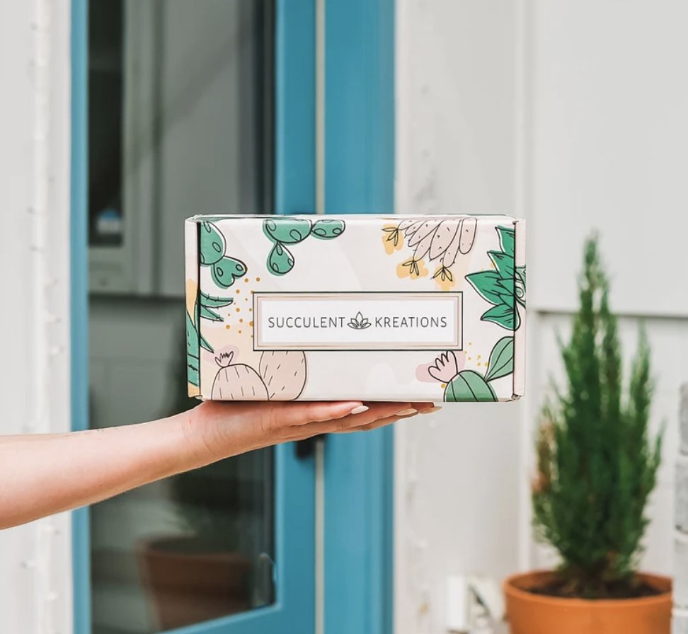 Gift Box Valentines Day Succulent Gift Box