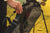 Golf Green Machine Golf Bag