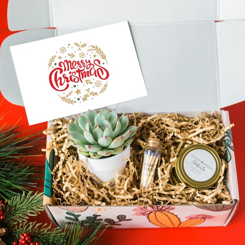 Christmas Succulent Gift Box