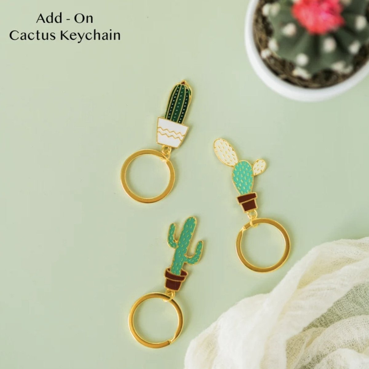 Gift Box Valentines Day Succulent Gift Box