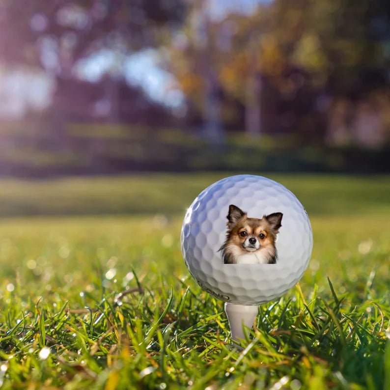 golf ball Custom Pet Golf Ball