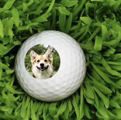 Golf Balls Pet Photo Golf Ball Set