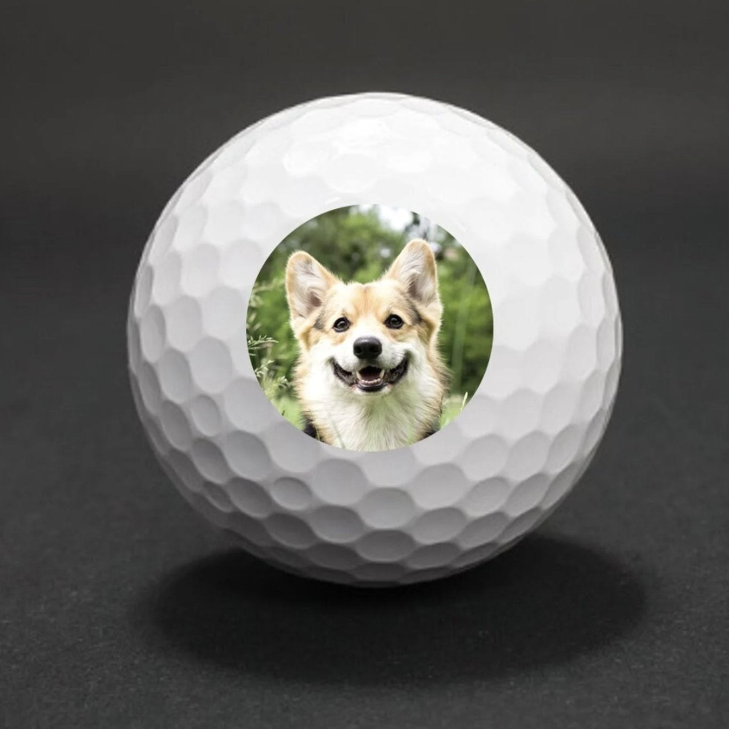 Golf Balls Pet Photo Golf Ball Set