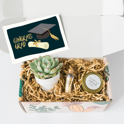 Graduation Succulent Gift Box
