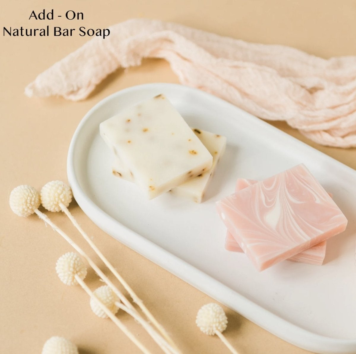 Graduation Succulent Gift Box