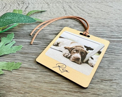 Travel Gifts Photo Luggage Tags